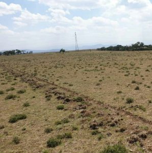 Mai Mahiu Plots