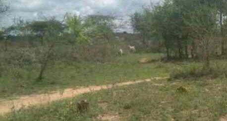 land for sale in matuu garissa road machakos y3qdv