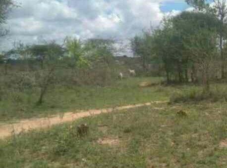 land for sale in matuu garissa road machakos y3qdv