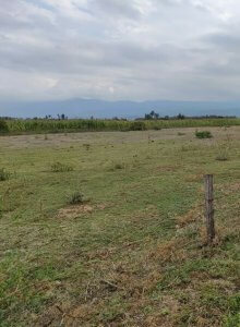 land for sale in naivasha kongoni guxoc