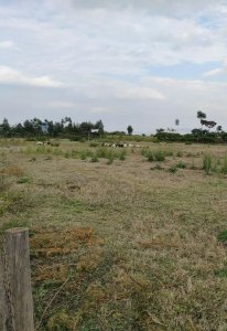 Plots for Sale in Karagita Naivasha