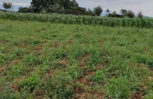 land for sale in naivasha town nakuru a5k6r