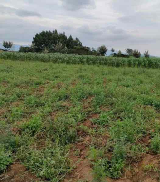 land for sale in naivasha town nakuru a5k6r