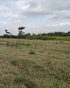 land for sale in naivasha town nakuru budw9 1