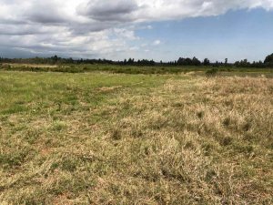 land for sale in nanyuki near daiga k9lgj