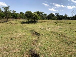 land for sale in nanyuki near the river 0f783