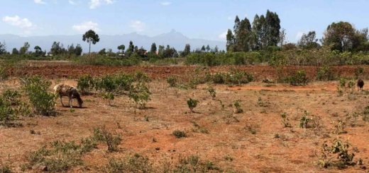 land for sale in nanyuki next to marumati gp40z