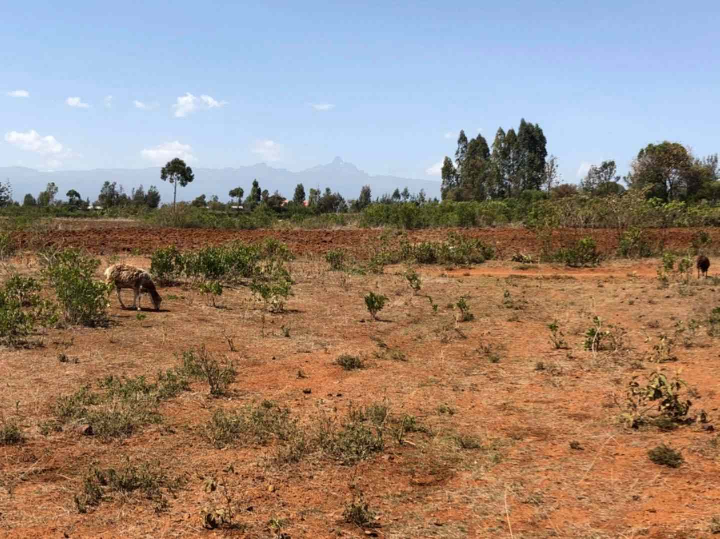 land for sale in nanyuki next to marumati gp40z