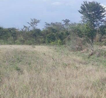 land for sale in ngaani kitui county eh1mg