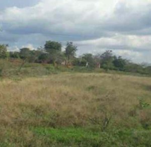 land for sale in ngaani kitui county s3e2z