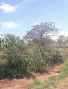 Plots for Sale in Kitui Town