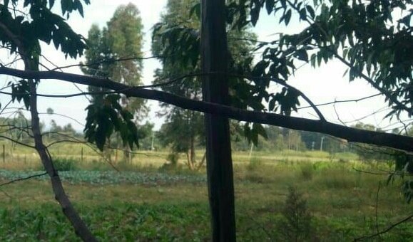 land for sale in rumuruti nyahururu hvkkd