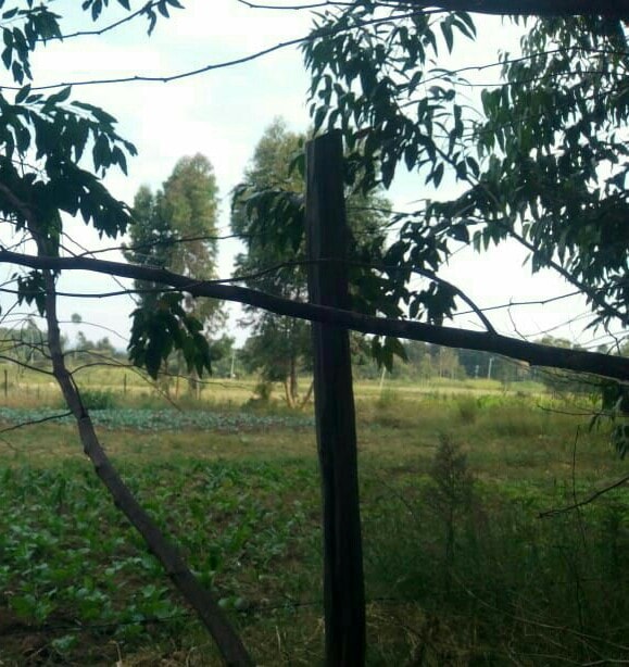 land for sale in rumuruti nyahururu hvkkd