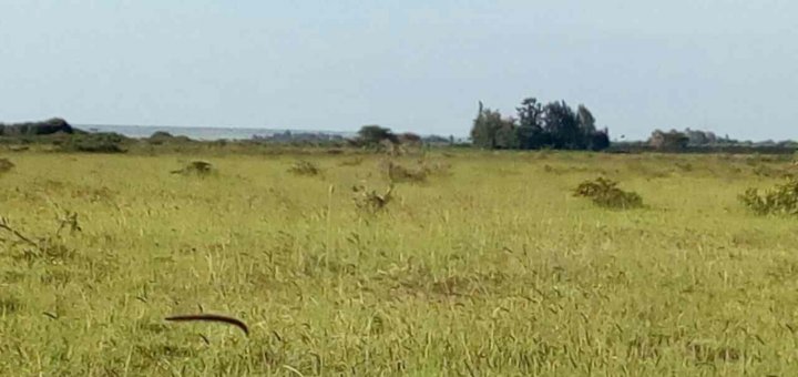 land for sale in rumuruti township laikipia county fsjbs