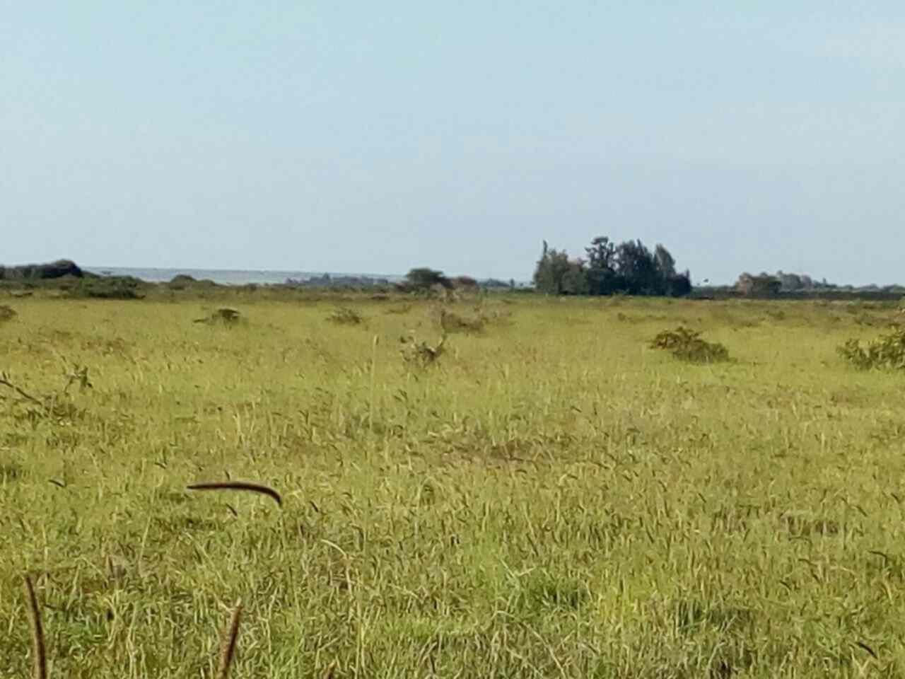 land for sale in rumuruti township laikipia county fsjbs