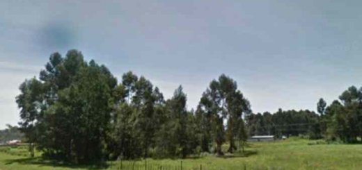 land for sale in rurii ol kalau 1k3wh