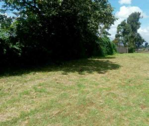 land for sale in tigoni kabuko area poobi