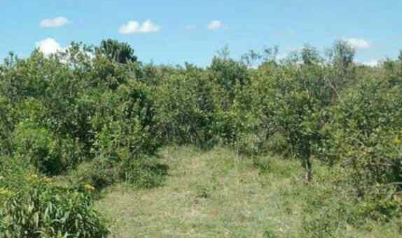 land for sale ngarua kinamba laikipia county jyo3m 1