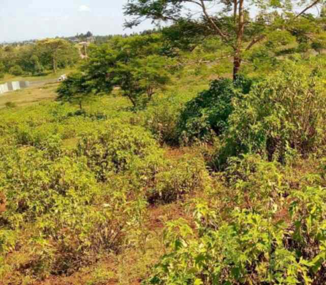 land in kabati near kenol for sale gy4gp