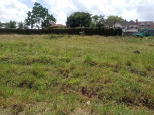 land in membley estate quatre and half acre for sale geve2