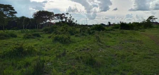 land in ruiru murera for sale r4rbz