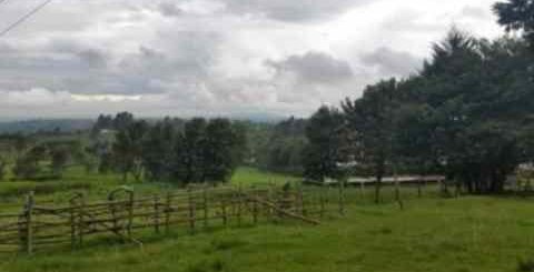 limuuru tigoni 10 acre land for sale v4ib4