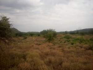 ngong suswa sgricultural land for sale 04d1c