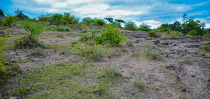 plot in juja farm for sale 3urh5