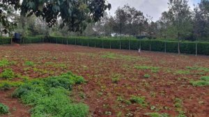 prime land for sale in Nairobi