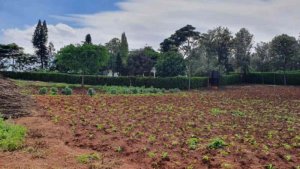 prime land for sale in Nairobi