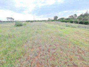 Land for Sale in Burguret Nanyuki