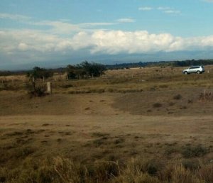 qhpt0 Land for sale in Naivasha Kinungi fly