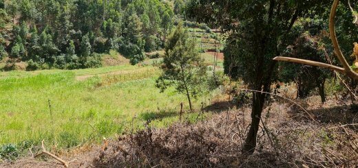 quatre acre plot for sale in wangige nyathuna 8ml5m