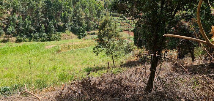 quatre acre plot for sale in wangige nyathuna 8ml5m