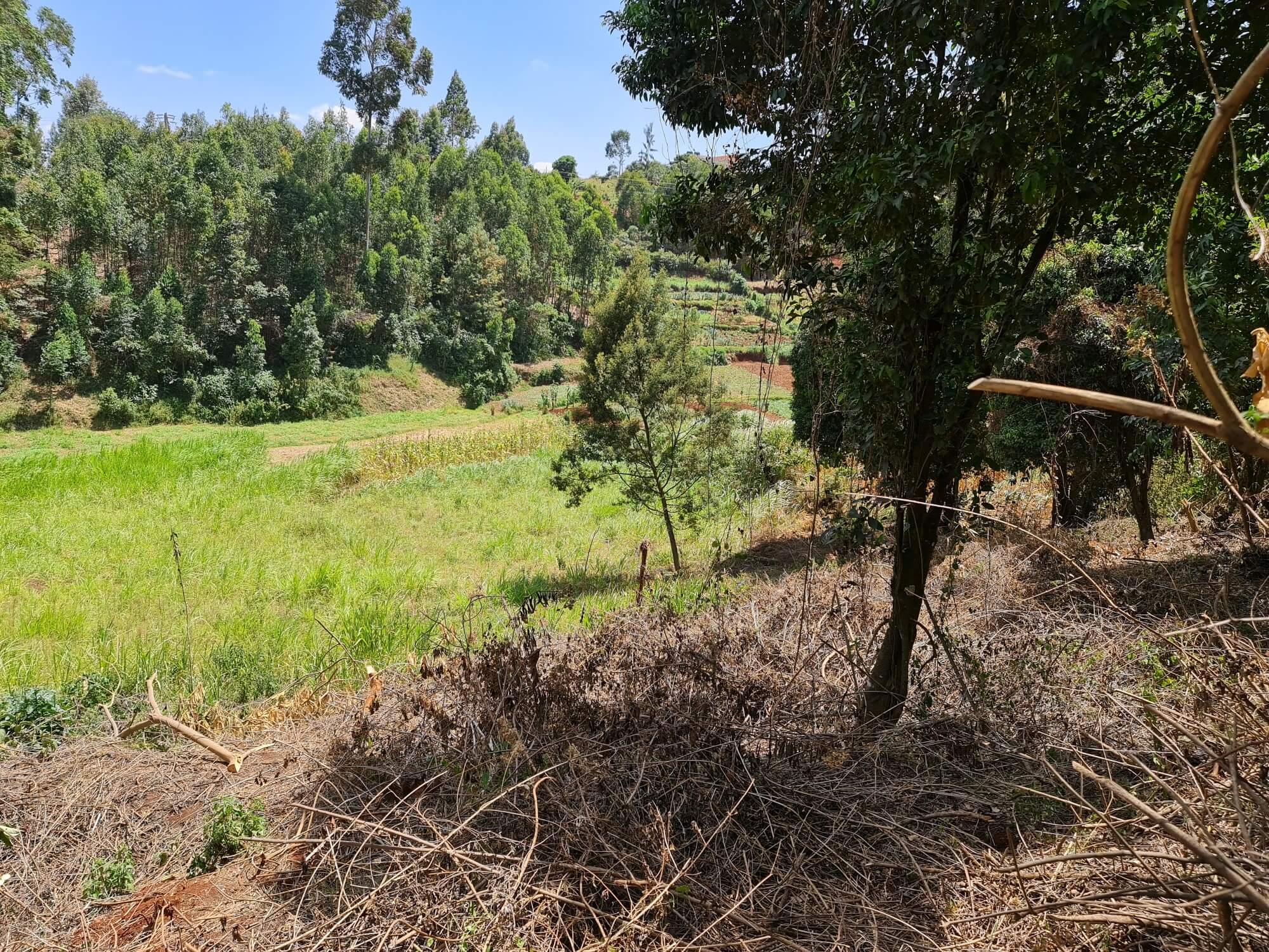 quatre acre plot for sale in wangige nyathuna 8ml5m