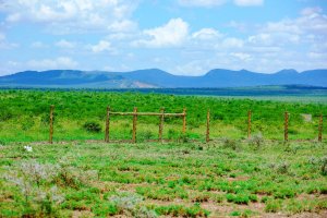 Buy Land in Nanyuki