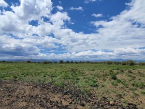 vacant land plot for sale in naivasha 3540084690205889605