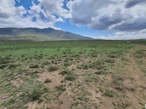 Plots for Sale in Kinamba Naivasha