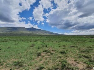 vacant land plot for sale in naivasha 8240079688475135740