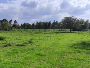 vacant land plot for sale in nanyuki 3370065678630392952