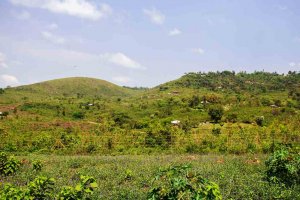 western hills mhasibu plots for sale6