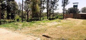 Plots for Sale in Muthithi Gardens