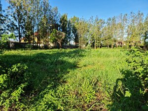 Kiukenda Land for Sale in Kiambu