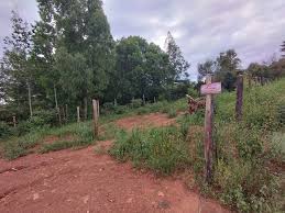 Gated Community Plots in Kiambu