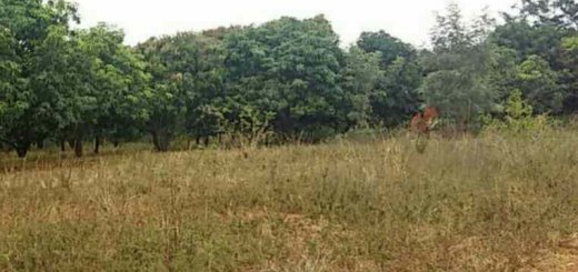 land for sale in makuyu