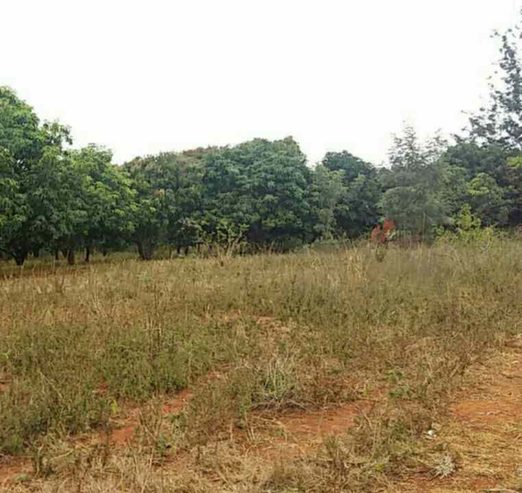 land for sale in makuyu