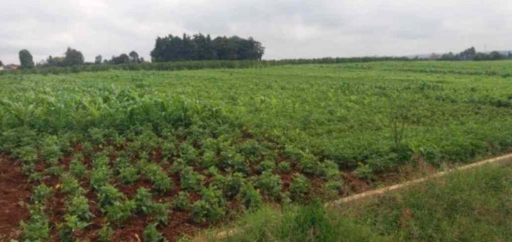 1000 acres for sale in muranga 1h1ls