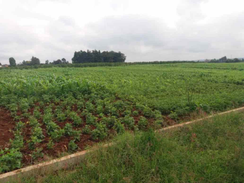 1000 acres for sale in muranga 1h1ls