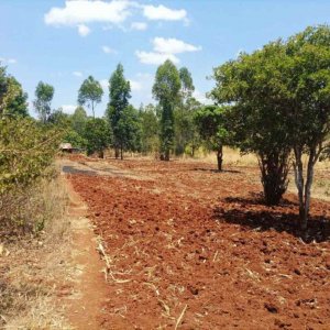 11 acre land for sale in maragua muranga county k02t4