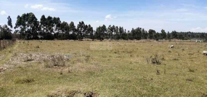 25 acre land for sale in upper elgon view dm5v1